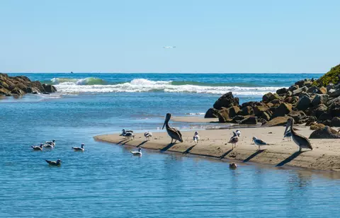 View/Area - 571 Sand Point Rd, Carpinteria, CA 93013 photo 5 of 7