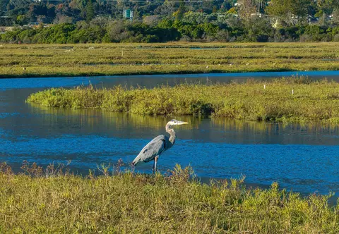 View/Area - 571 Sand Point Rd, Carpinteria, CA 93013 photo 4 of 7
