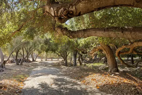 2250 Hermitage Rd, Ojai, CA 93023 photo 2