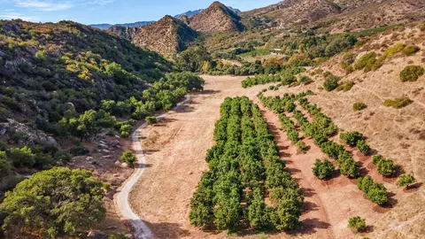 2250 Hermitage Rd, Ojai, CA 93023 photo 4
