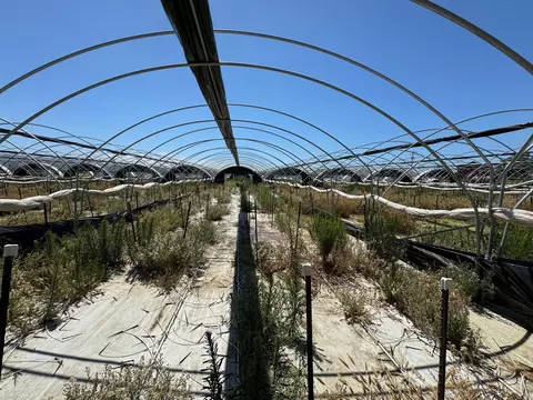 801 851 Ca-246, Lompoc, CA 93436 photo 37