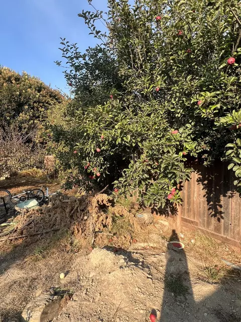 Exterior - 905 W Cypress Ave, Lompoc, CA 93436 photo 2 of 6