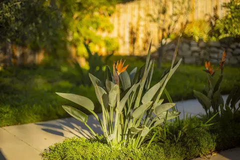 1068 Cuyama Rd, Ojai, CA 93023 photo 40