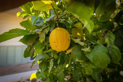 Other - 2027 Burnham Rd, Ojai, CA 93023 photo 5 of 5