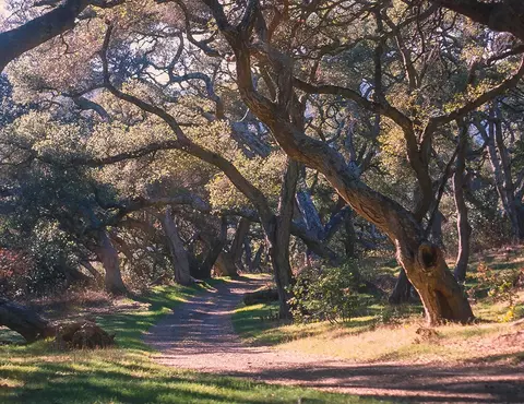 7 Hollister Rnch, Gaviota, CA 93117