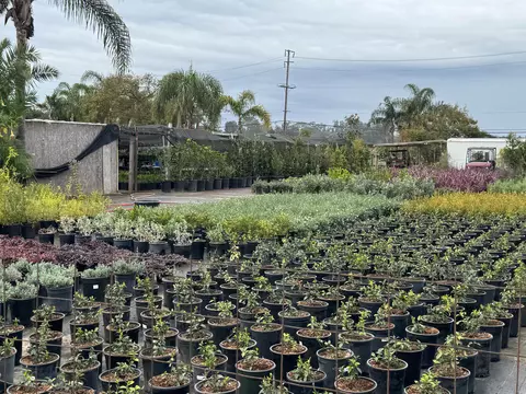 3376 Foothill Rd, Carpinteria, CA 93013 photo 57