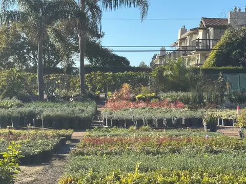 3376 Foothill Rd, Carpinteria, CA 93013 photo 49