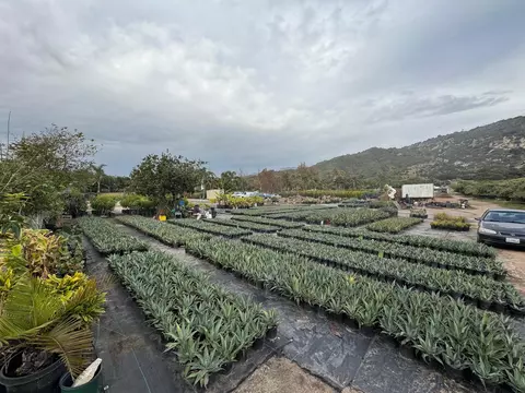3376 Foothill Rd, Carpinteria, CA 93013 photo 7