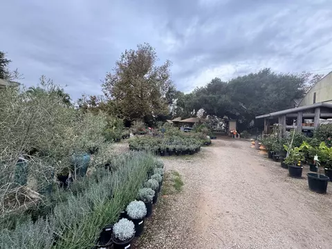 3376 Foothill Rd, Carpinteria, CA 93013 photo 53
