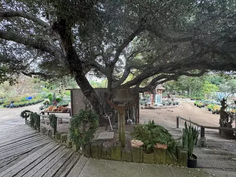 3376 Foothill Rd, Carpinteria, CA 93013 photo 10