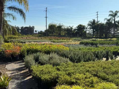 3376 Foothill Rd, Carpinteria, CA 93013 photo 56