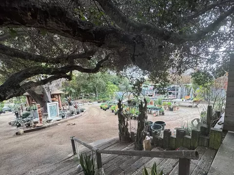 3376 Foothill Rd, Carpinteria, CA 93013 photo 9