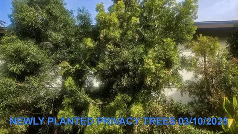 Other - 954 Concha Loma Dr, Carpinteria, CA 93013 photo 2 of 8