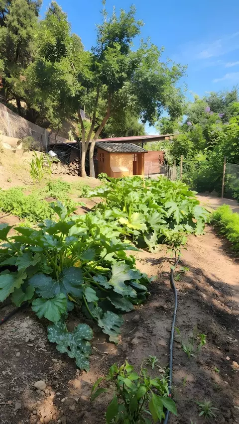 Exterior - 330 E Mountain Dr, Montecito, CA 93108 photo 13 of 21