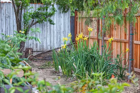Exterior - 228 High St, Oak View, CA 93022 photo 13 of 17