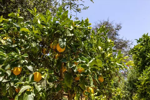 Exterior - 150 Olive Mill Ln, Montecito, CA 93108 photo 11 of 12