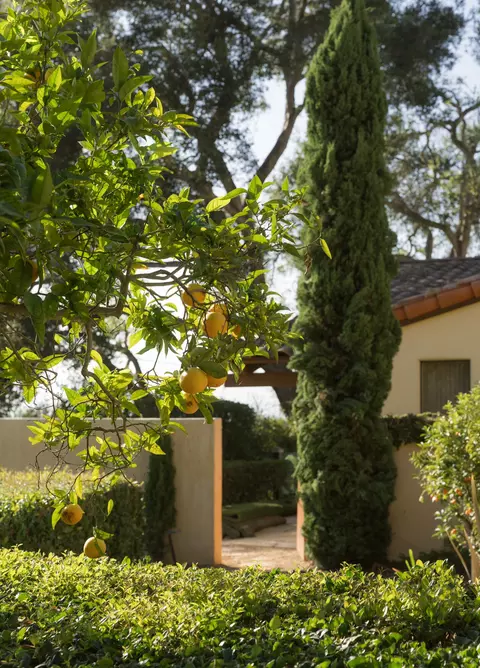 4585 Vieja Dr, Santa Barbara, CA 93110 photo 22