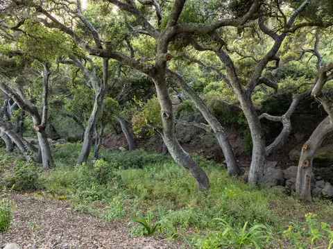 2889 Hidden Valley Ln, Montecito, CA 93108 photo 5
