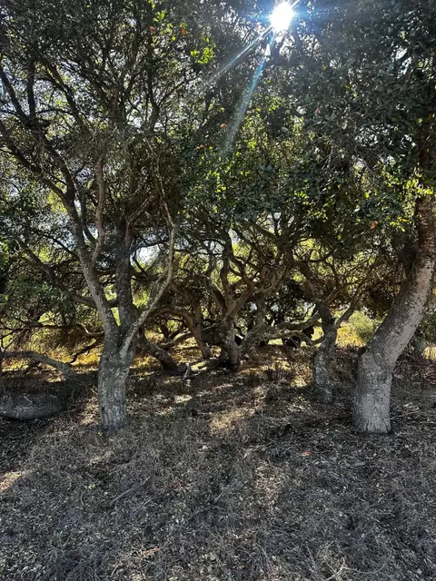 1990 Tularosa Rd, Lompoc, CA 93436 photo 28