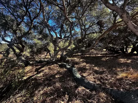 1990 Tularosa Rd, Lompoc, CA 93436 photo 27
