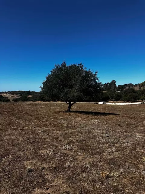 1990 Tularosa Rd, Lompoc, CA 93436 photo 32