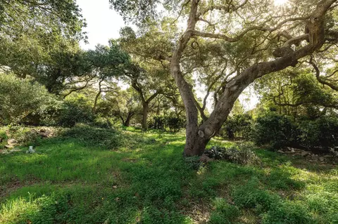 Exterior - 1175 E Mountain Dr, Montecito, CA 93108 photo 7 of 8