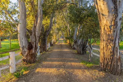 1519 Ayers Ave, Ojai, CA 93023 photo 49