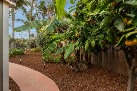 Exterior - 5402 Cameo Rd, Carpinteria, CA 93013 photo 6 of 10