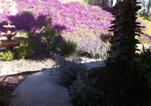 2454 Reche Rd, Fallbrook, CA 92028 photo 25