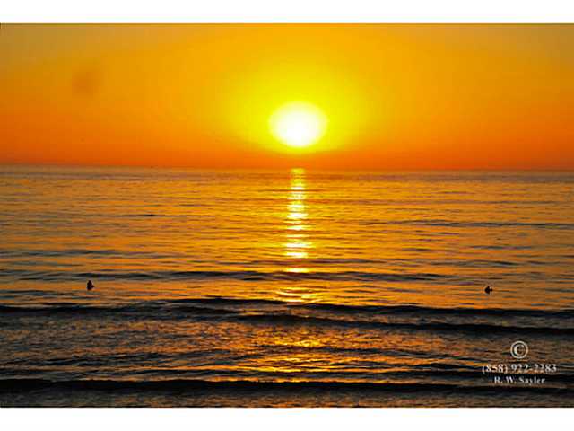 324 Clark St, Solana Beach, CA 92075 photo 21