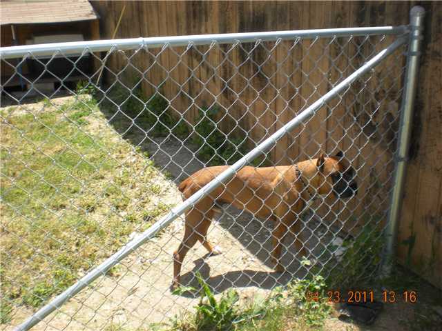 5327 Central Ave, Bonita, CA 91902 photo 19