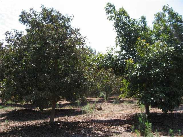 3741 Pala Mesa Dr, Fallbrook, CA 92028 photo 8