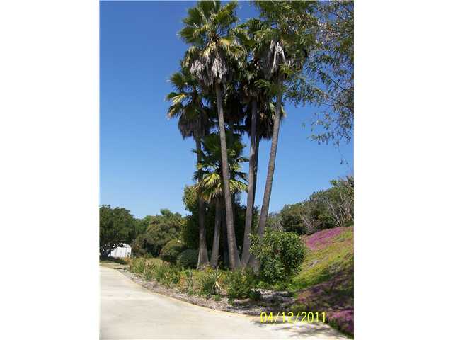 3354 Ryan Dr, Escondido, CA 92025 photo 24