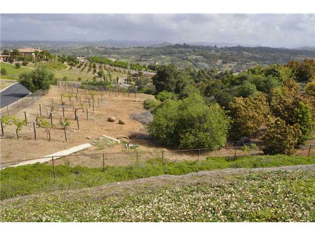 6124 Villa Flora, Bonsall, CA 92003 photo 25