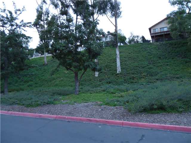 1037 Fairhill Ter, Spring Valley, CA 91977 photo 23