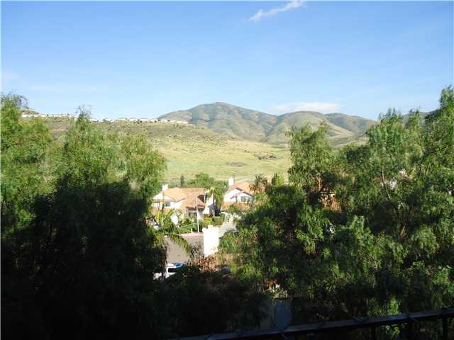 1037 Fairhill Ter, Spring Valley, CA 91977 photo 9