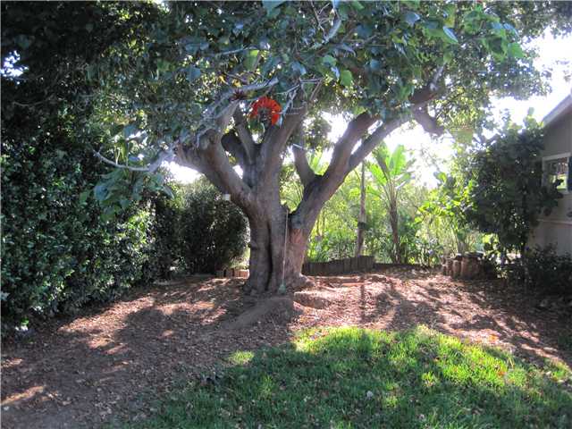 1117 Gearald Way, Fallbrook, CA 92028 photo 2