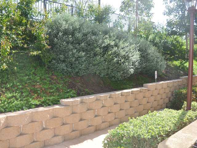 157 Via Montisi, Santee, CA 92071 photo 19