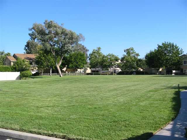 13696 Comuna Dr, Poway, CA 92064 photo 20