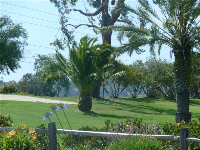 120 S Jayton Ln, Encinitas, CA 92024 photo 22
