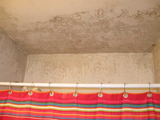 9946 Via Mavis, Santee, CA 92071 photo 7