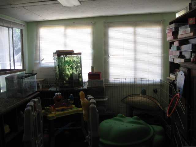 9946 Via Mavis, Santee, CA 92071 photo 6