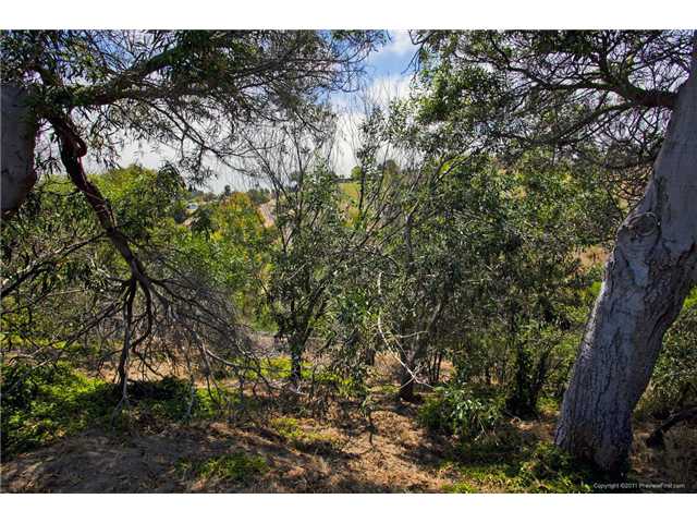 375 Islander St, Oceanside, CA 92054 photo 20