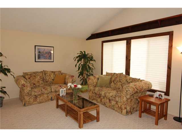 256 Chapalita Dr, Encinitas, CA 92024 photo 10