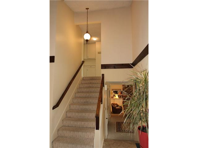 256 Chapalita Dr, Encinitas, CA 92024 photo 17