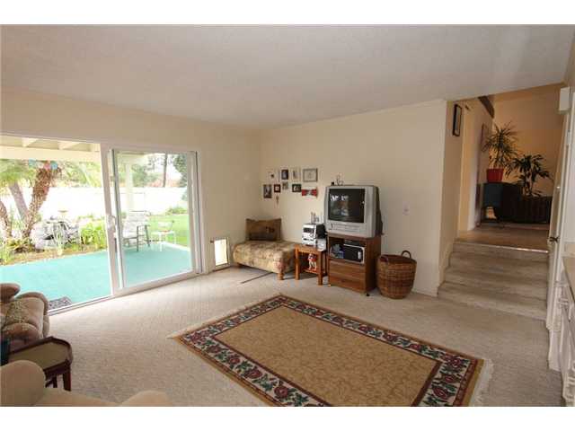 256 Chapalita Dr, Encinitas, CA 92024 photo 15
