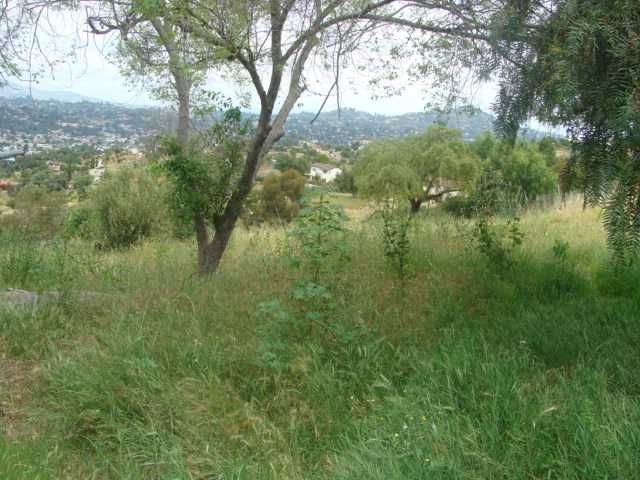 2356 Highview Ln, Spring Valley, CA 91977 photo 8
