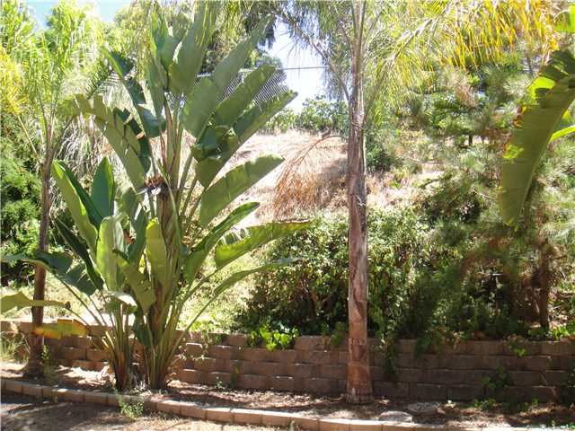 1454 Flair Encinitas Dr, Encinitas, CA 92024 photo 19