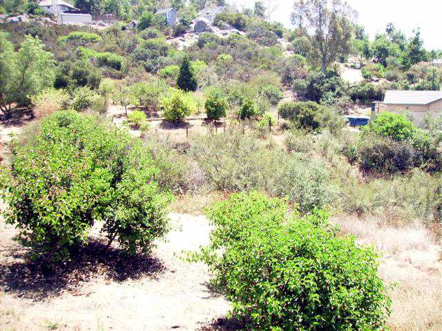 1139 S Grade Rd, Alpine, CA 91901 photo 23