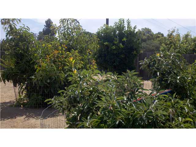 2839 Olive View Rd, Alpine, CA 91901 photo 13